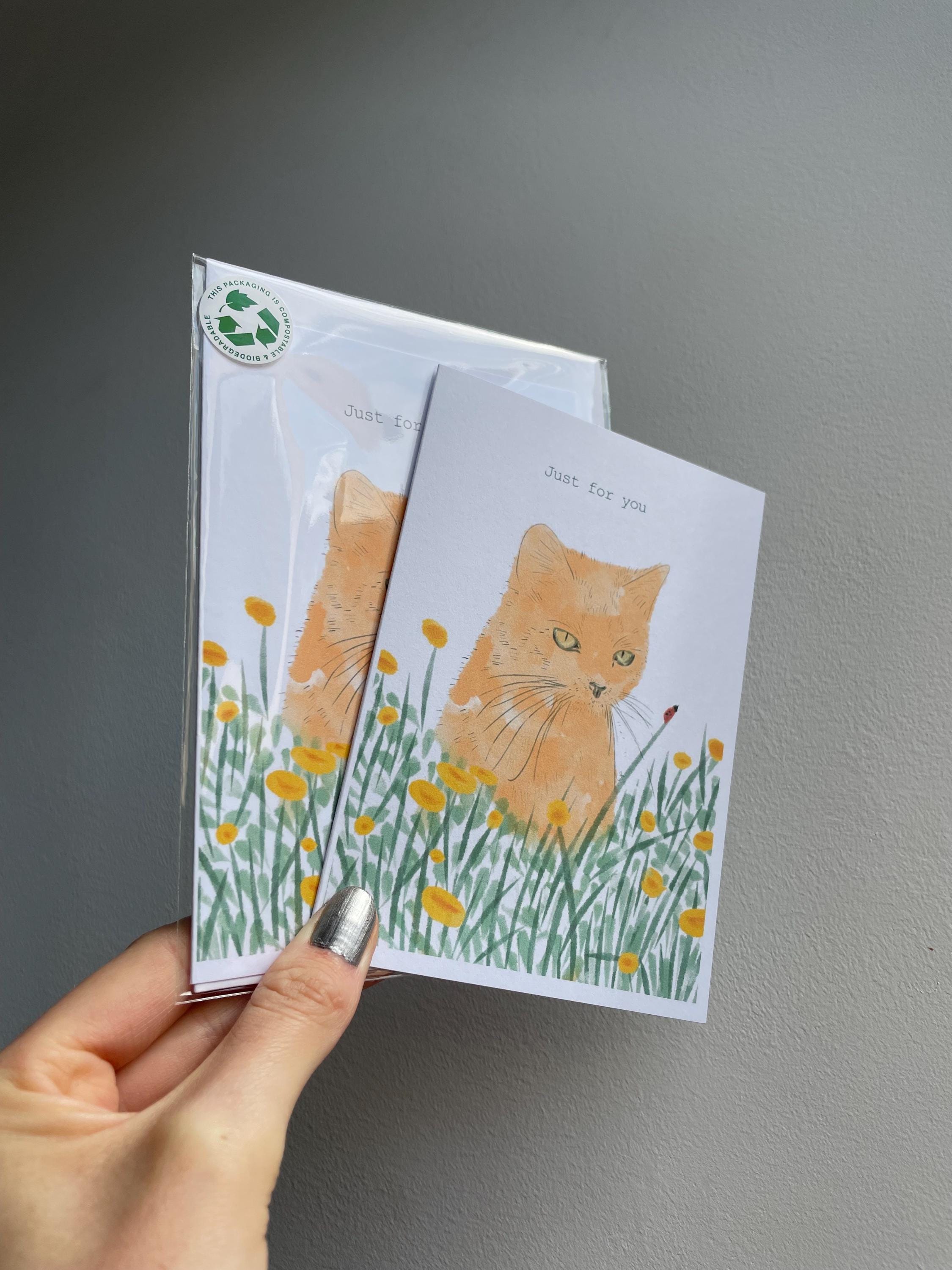 Ginger cat A6 Cards, set of 3: illustrated animal