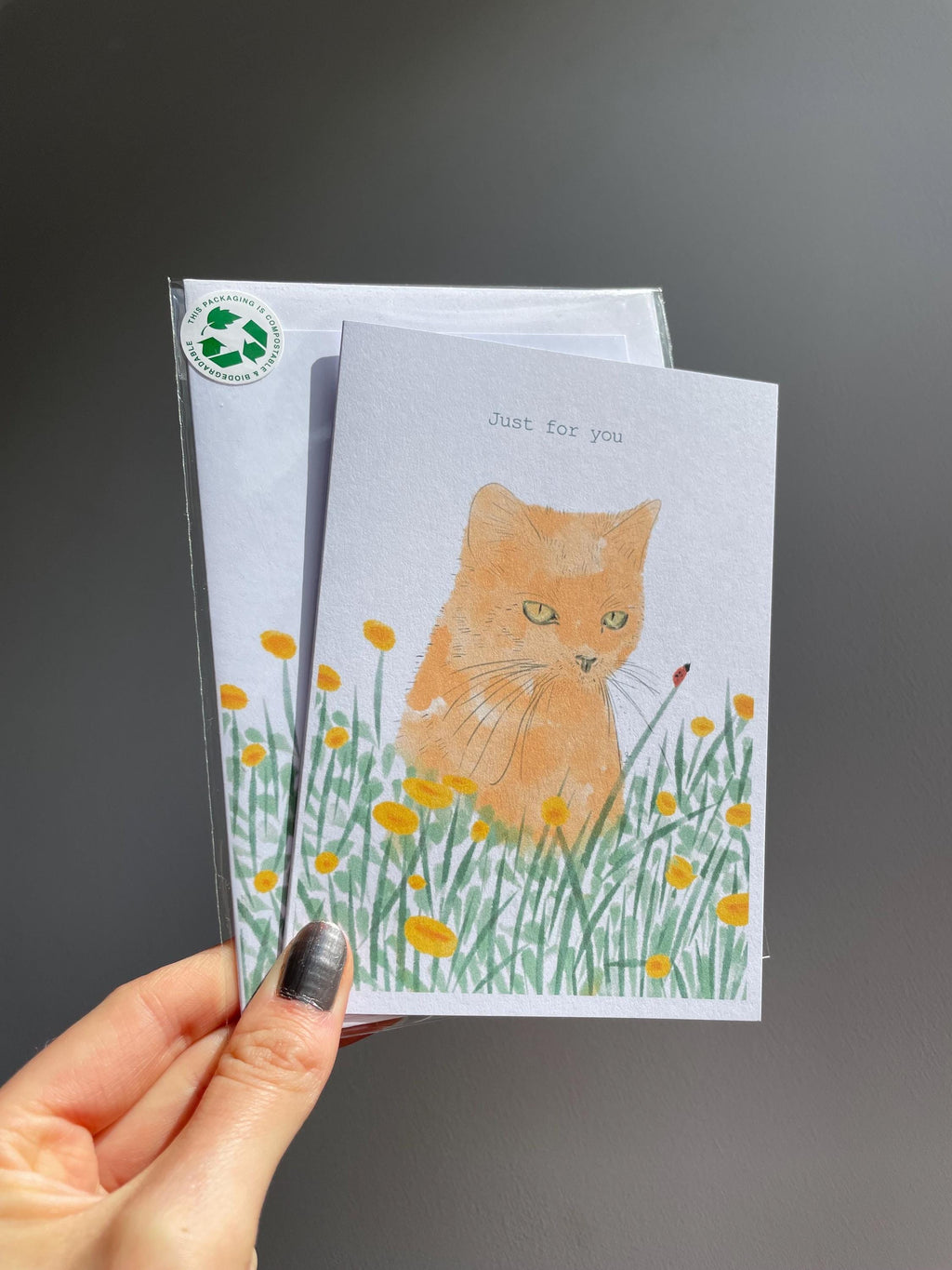Ginger cat A6 Cards, set of 3: illustrated animal