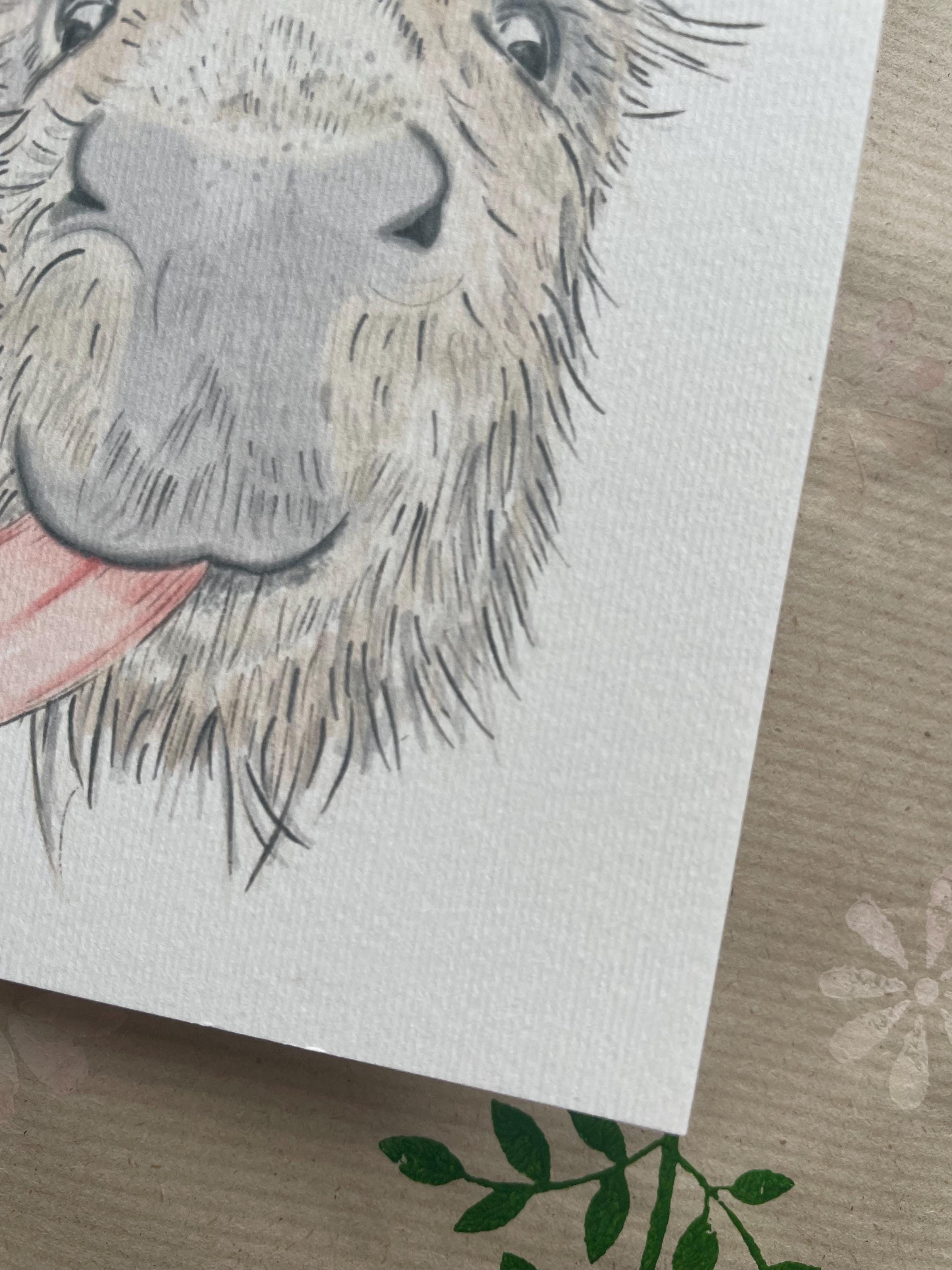 Donkey A6 Cards, pack of x3:  illustrated by hand for animal lover, special day