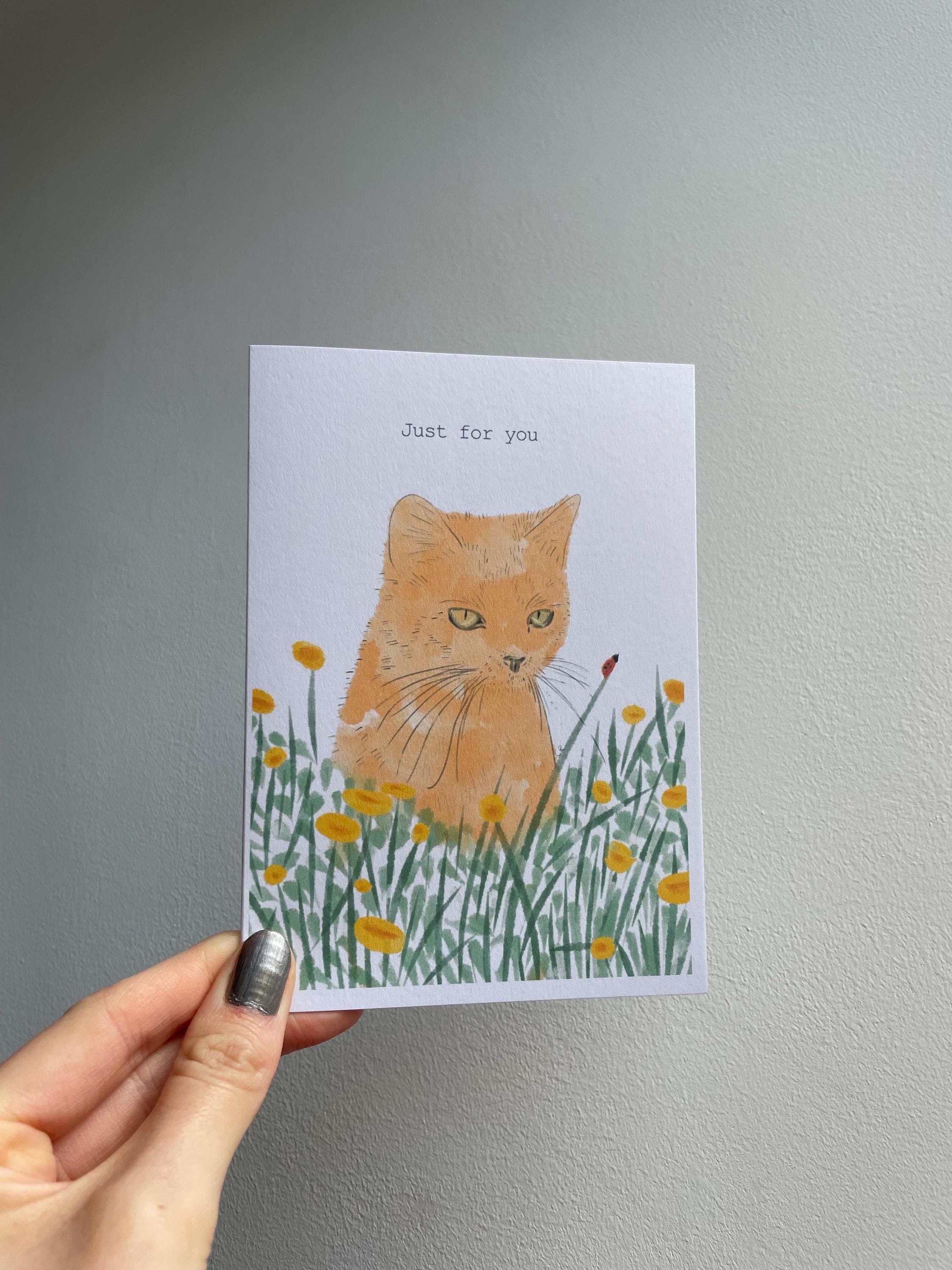 Ginger cat A6 Cards, set of 3: illustrated animal