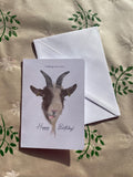 Cheeky Goat A6 Cards, pack of 3: illsutrated by hand, funny animal card