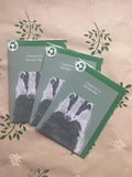 Badger A6 Cards, pack of x3: animal lover greeting card pack, illustrated by hand