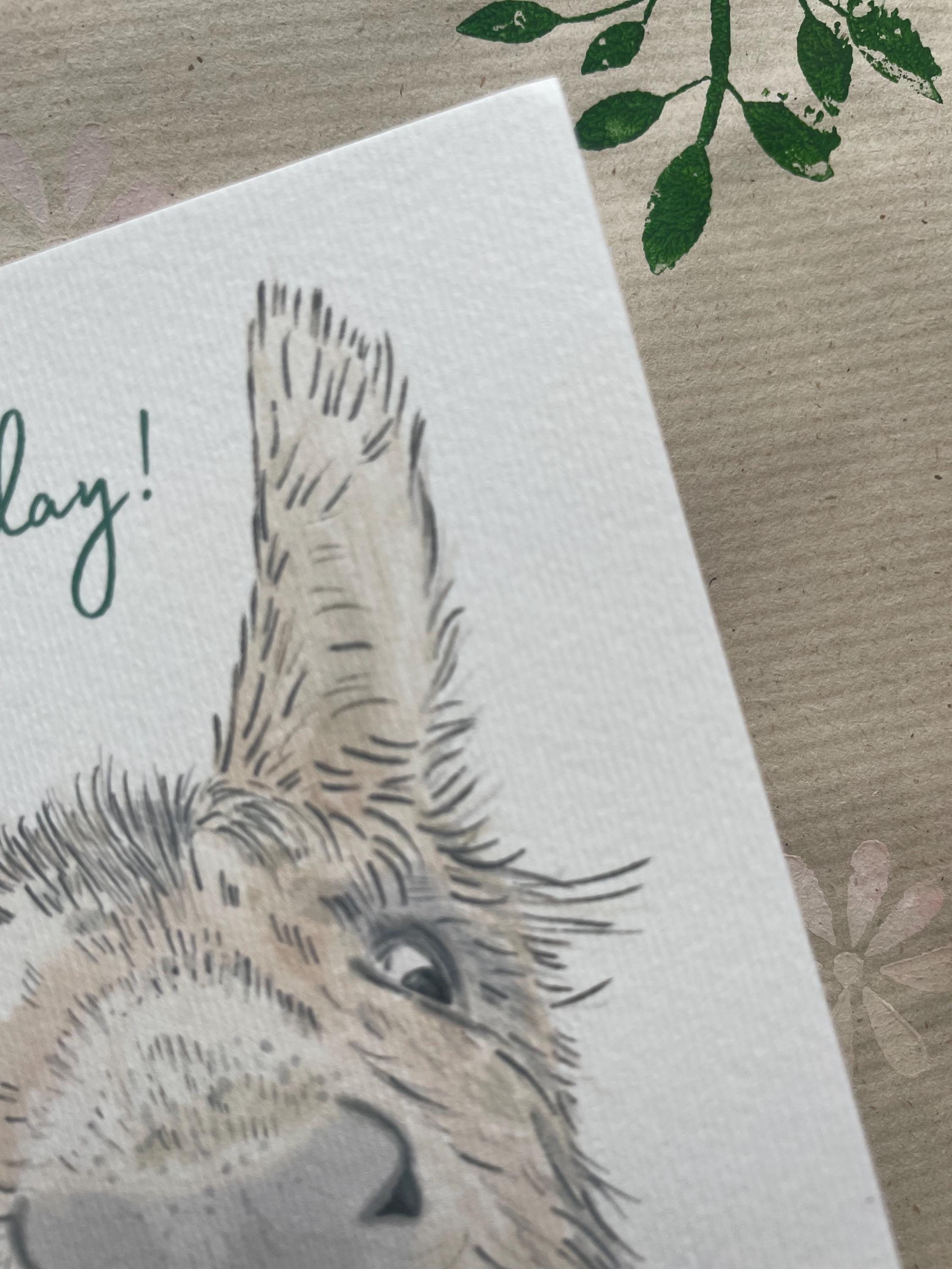 Donkey A6 Cards, pack of x3:  illustrated by hand for animal lover, special day
