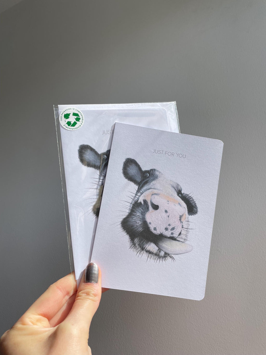 Cow A6 Cards, set of 3: illustrated by hand