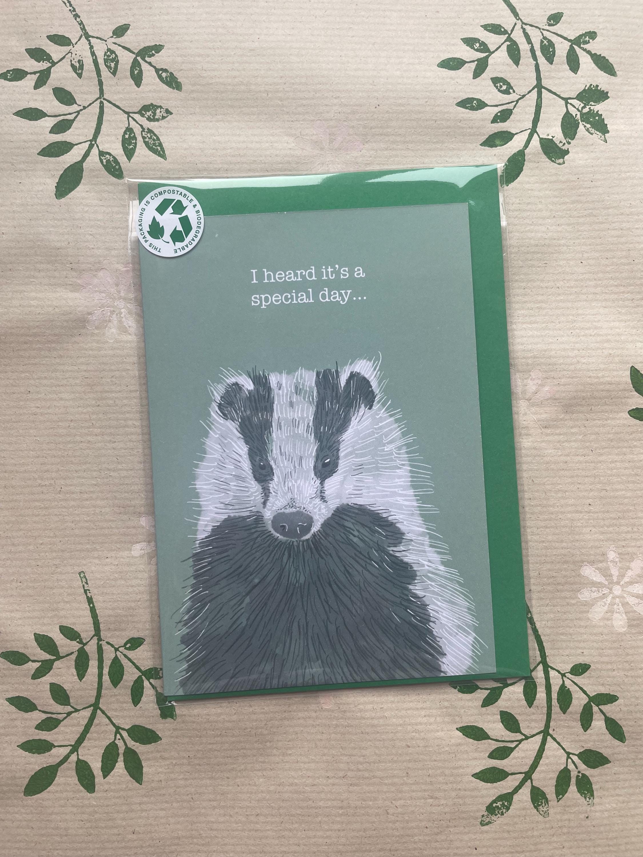 Badger A6 Cards, pack of x3: animal lover greeting card pack, illustrated by hand