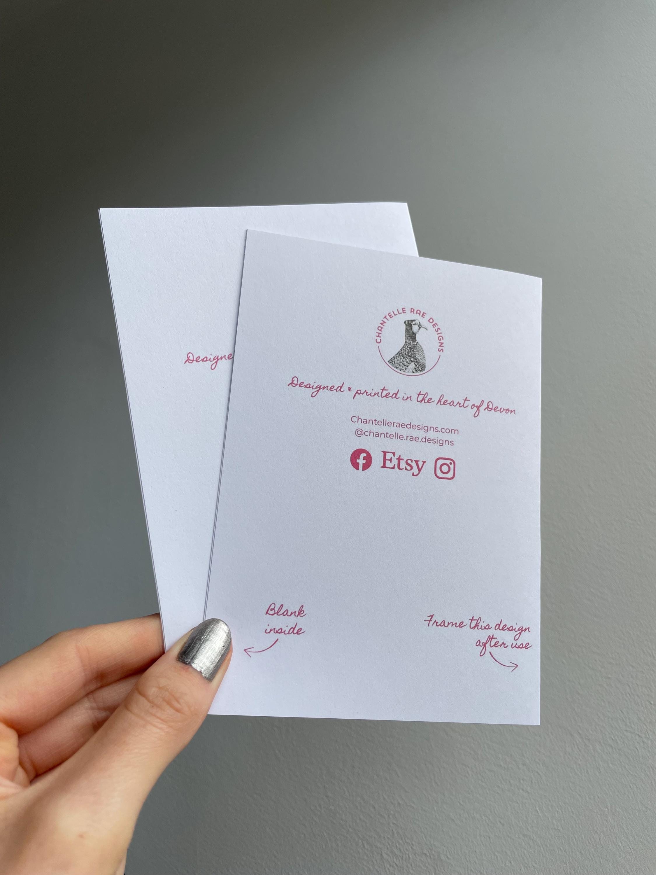 Puffin A6 Cards, set of 3: graphic style, illustrated, with silver details