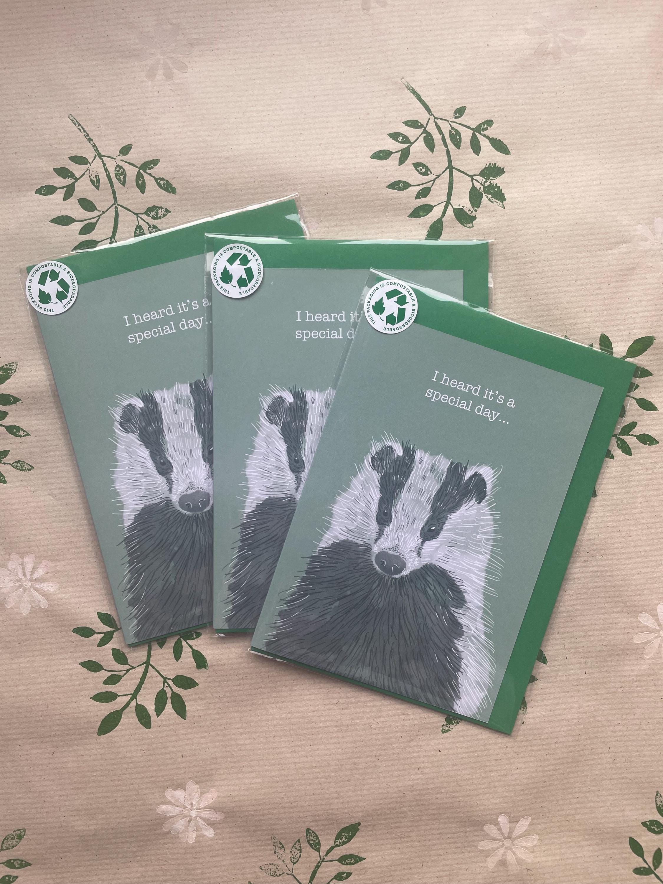 Badger A6 Cards, pack of x3: animal lover greeting card pack, illustrated by hand