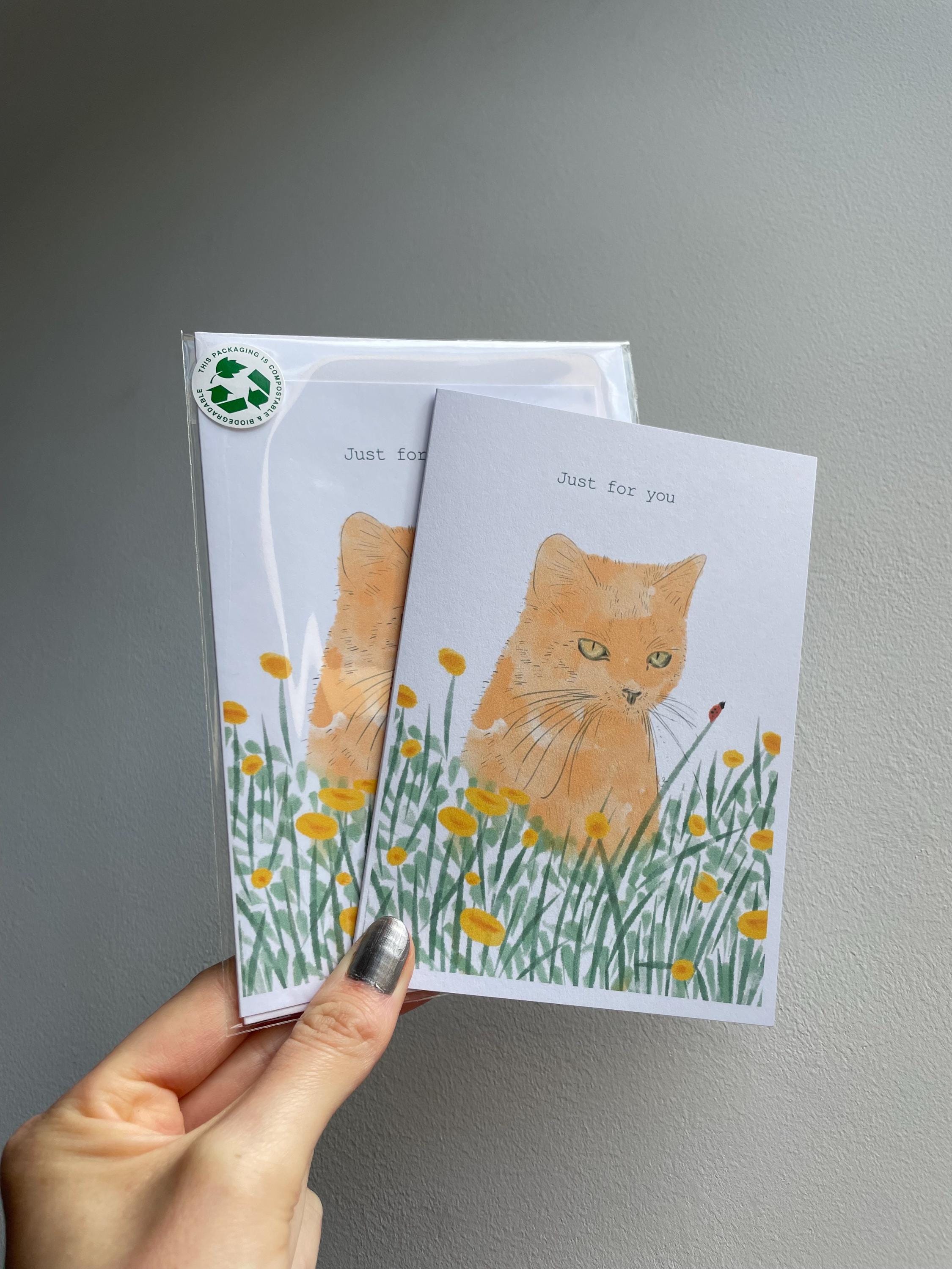 Ginger cat A6 Cards, set of 3: illustrated animal