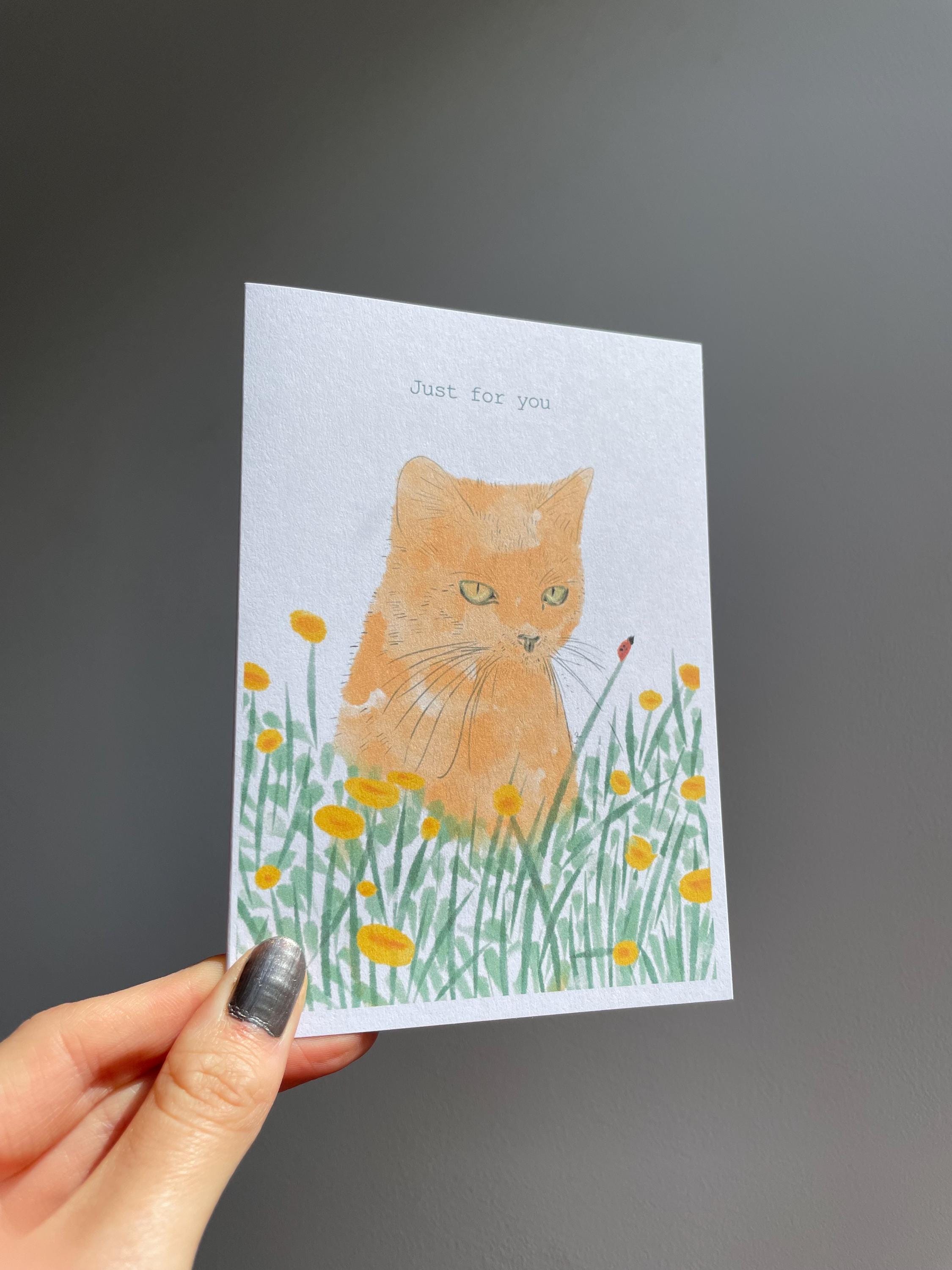 Ginger cat A6 Cards, set of 3: illustrated animal