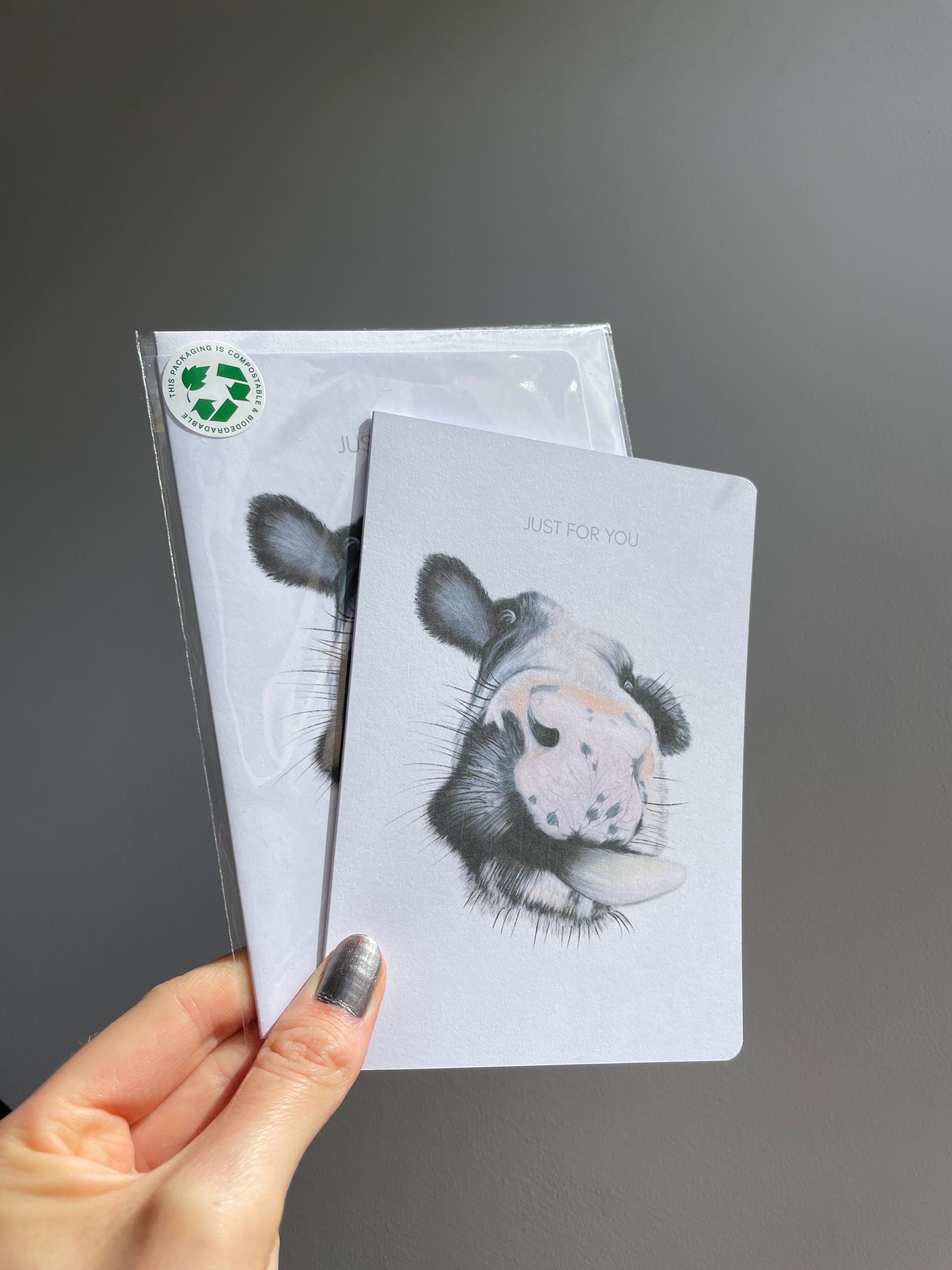 Cow A6 Cards, set of 3: illustrated by hand