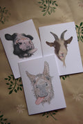 The Cheeky Trio, A6 Cards, pack of 3: cow, goat, donkey, illustrated animal greeting cards