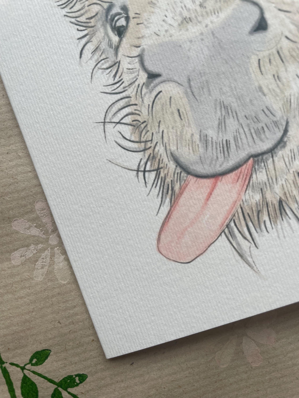 Donkey A6 Cards, pack of x3:  illustrated by hand for animal lover, special day