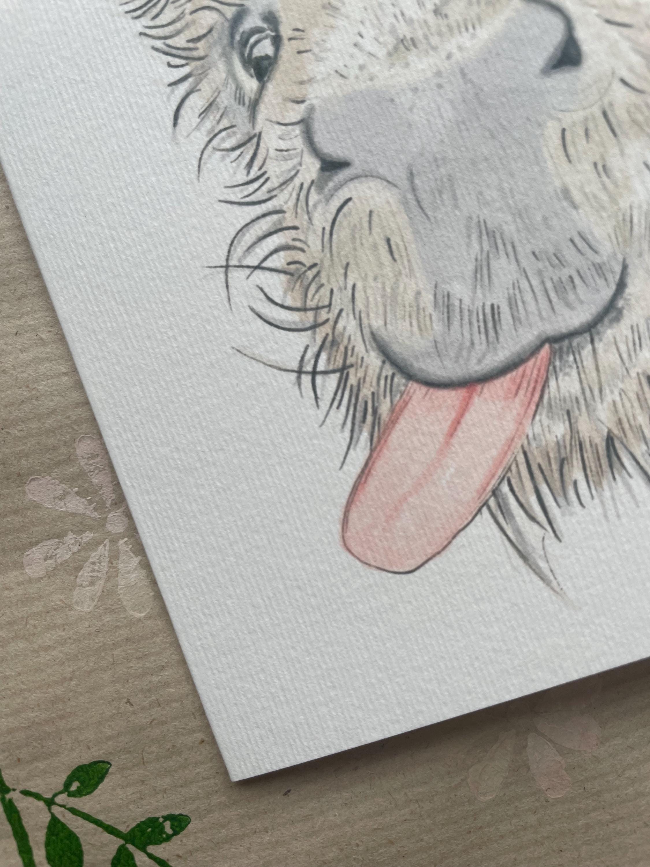 Donkey A6 Cards, pack of x3:  illustrated by hand for animal lover, special day