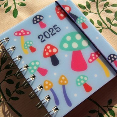 2025 planner featuring colourful mushrooms on a light blue cover.